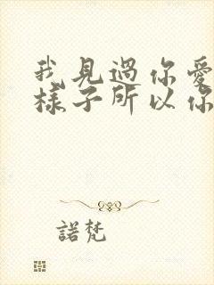 我见过你爱我的样子所以你不爱我的时候歌词