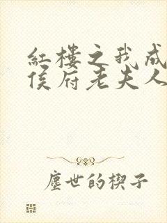 红楼之我成了封侯府老夫人