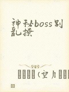 神秘boss别乱撩
