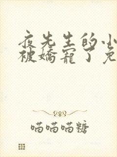 夜先生的小可怜被娇宠了免费