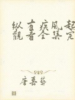 纵有疾风起免费观看全集完整版