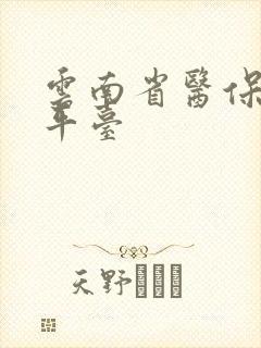 云南省医保服务平台