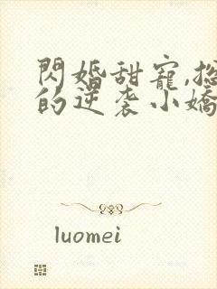 闪婚甜宠,总裁的逆袭小娇妻免费阅读