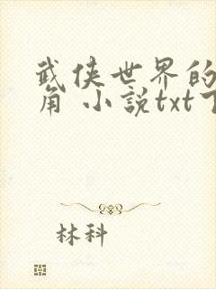 武侠世界的小配角 小说txt下载