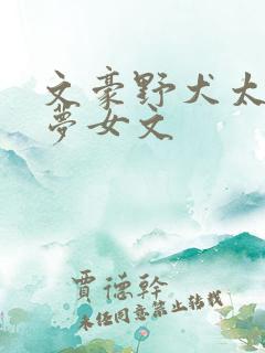 文豪野犬太宰治梦女文