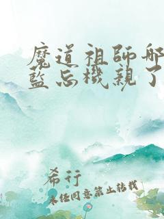 魔道祖师哪一集蓝忘机亲了魏无羡