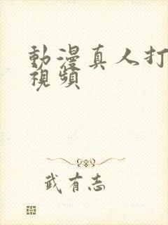 动漫真人打扑克视频