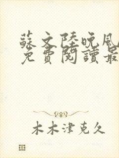 苏文陆晚风小说免费阅读最新章节