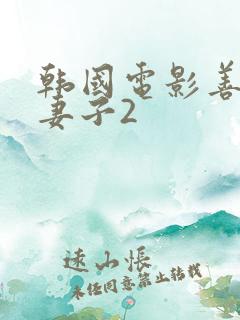 韩国电影善良的妻子2