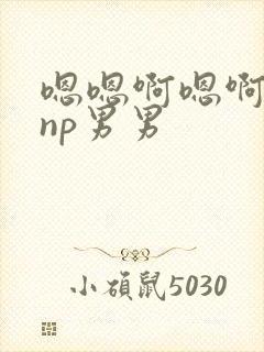 嗯嗯啊嗯啊嗯啊np男男