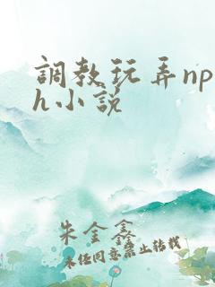 调教玩弄np高h小说