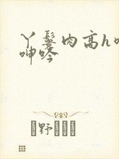 丫鬟肉高h喷汁呻吟