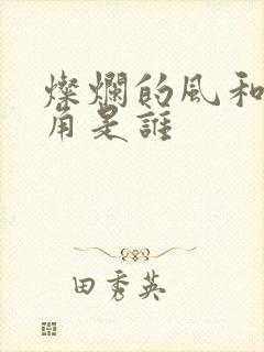 灿烂的风和海主角是谁