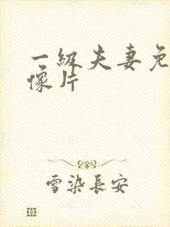 一级夫妻免费录像片