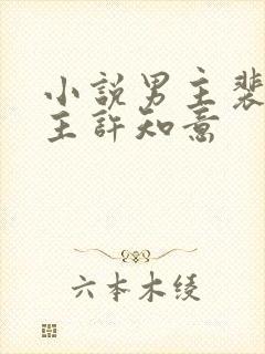 小说男主裴衍女主许知意