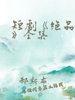 短剧《绝品家丁》全集