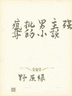 疯批男主强取豪夺的小说