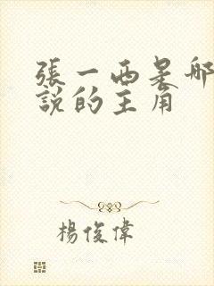 张一西是哪部小说的主角