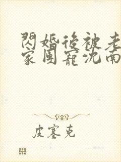 闪婚后被老公全家团宠沈南西,厉景川