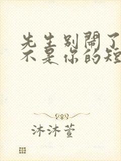 先生别闹了新娘不是你的短剧一口气看完