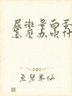 尿微量白蛋白高怎么办吃什么药