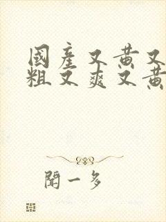 国产又黄又猛又粗又爽又黄的视频