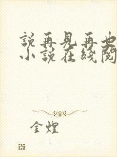 说再见再也不见小说在线阅读