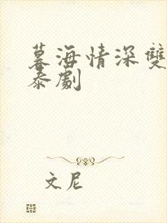 暮海情深双男主泰剧