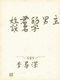 姓君的男主角小说名字