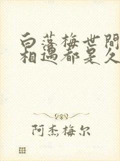 白落梅世间所有相遇都是久别重逢