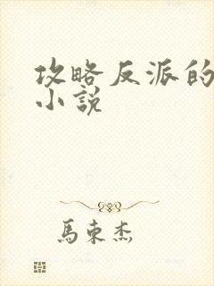 攻略反派的快穿小说