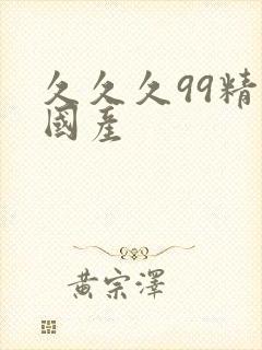 久久久99精品国产