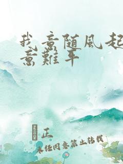 我意随风起风止意难平