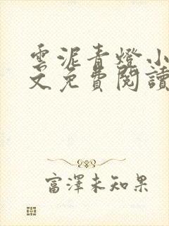 云泥青灯小说全文免费阅读无弹窗