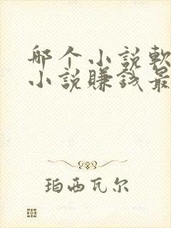 哪个小说软件写小说赚钱最多