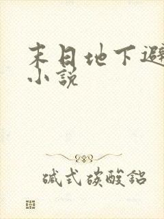 末日地下避难所小说