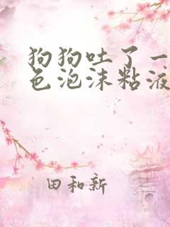 狗狗吐了一滩白色泡沫粘液应该咋办