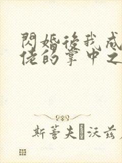 闪婚后我成了大佬的掌中之物无删减