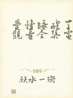 爱情睡醒了免费观看全集电视剧