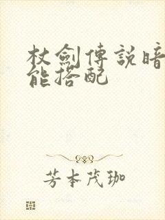 杖剑传说暗牧技能搭配