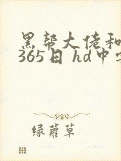 黑帮大佬和我的365日 hd中字