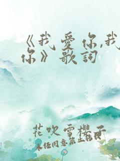 《我爱你,我想你》歌词