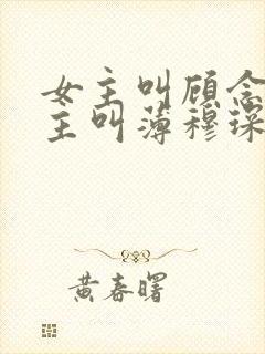 女主叫顾念,男主叫薄穆琛的小说