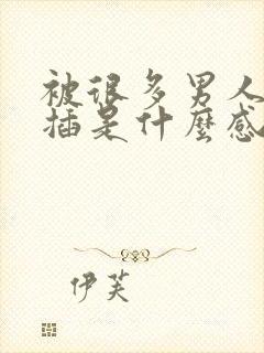 被很多男人一起插是什么感受