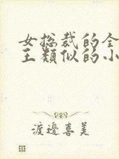 女总裁的全能兵王类似的小说