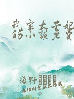 我家太子妃超凶的小说免费阅读