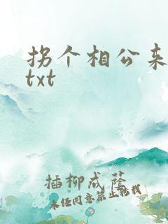 拐个相公来种田txt