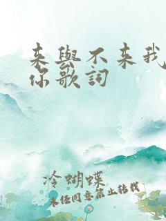 来与不来我都等你歌词