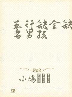 五行缺金缺火取名男孩