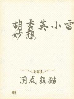 胡秀英小雷奇思妙想